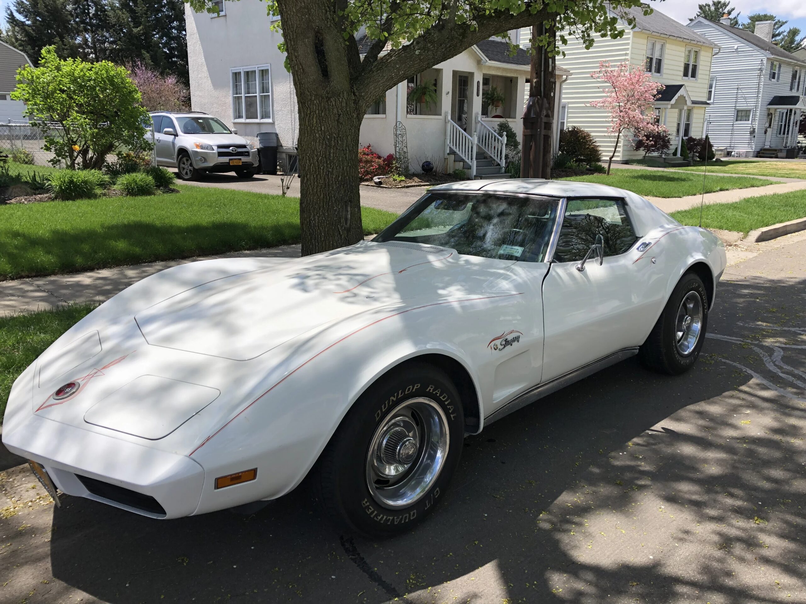 Chevrolet-Corvette-stingray-1974-White-Black-4