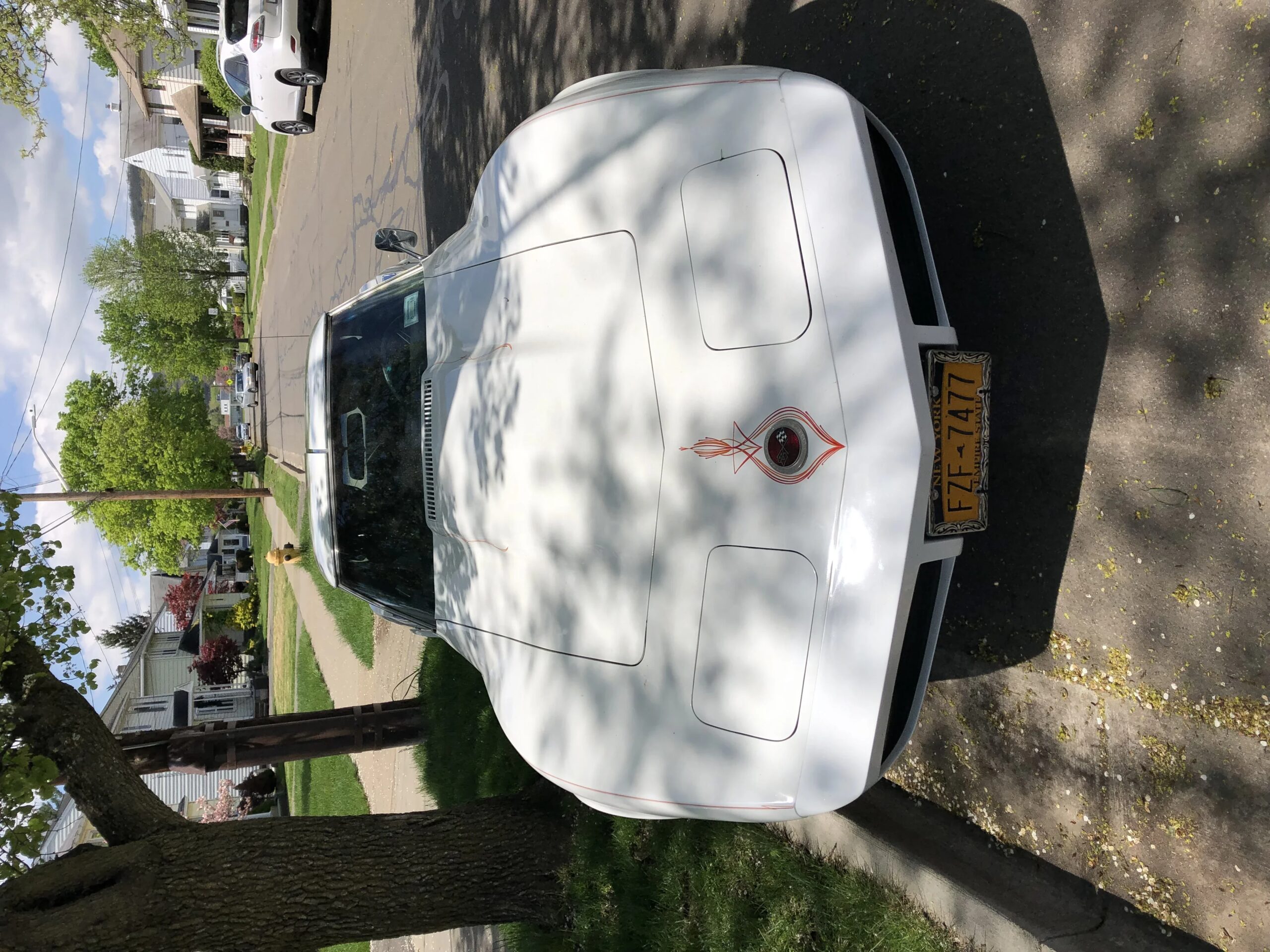 Chevrolet-Corvette-stingray-1974-White-Black-5