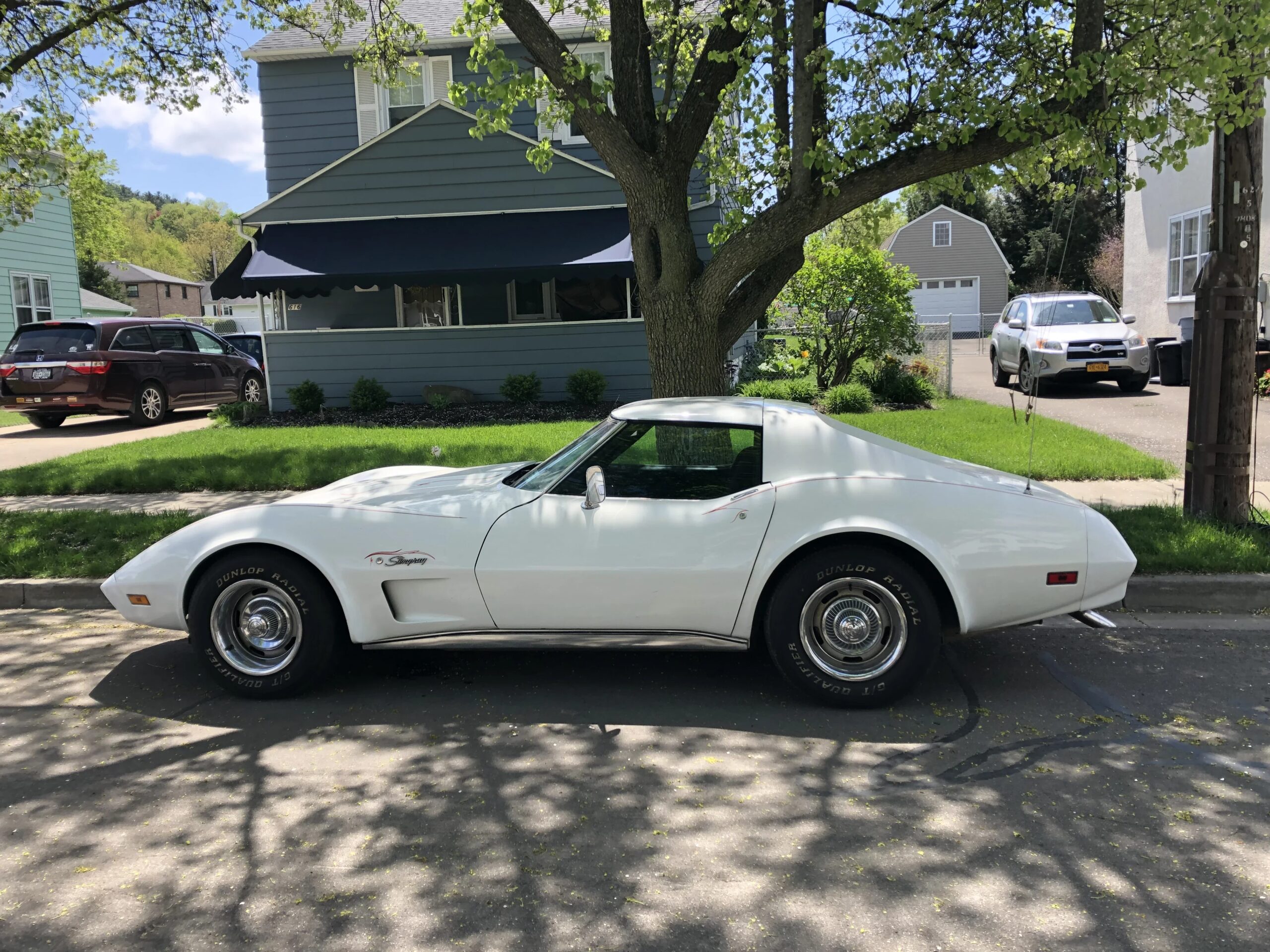 Chevrolet-Corvette-stingray-1974-White-Black-6
