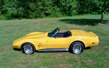 Chevrolet-Corvette-stingray-1974-Yellow-Black-11