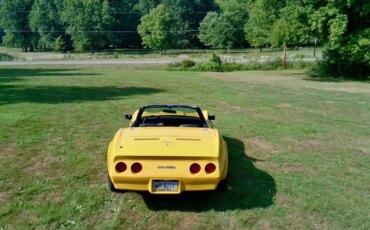 Chevrolet-Corvette-stingray-1974-Yellow-Black-9