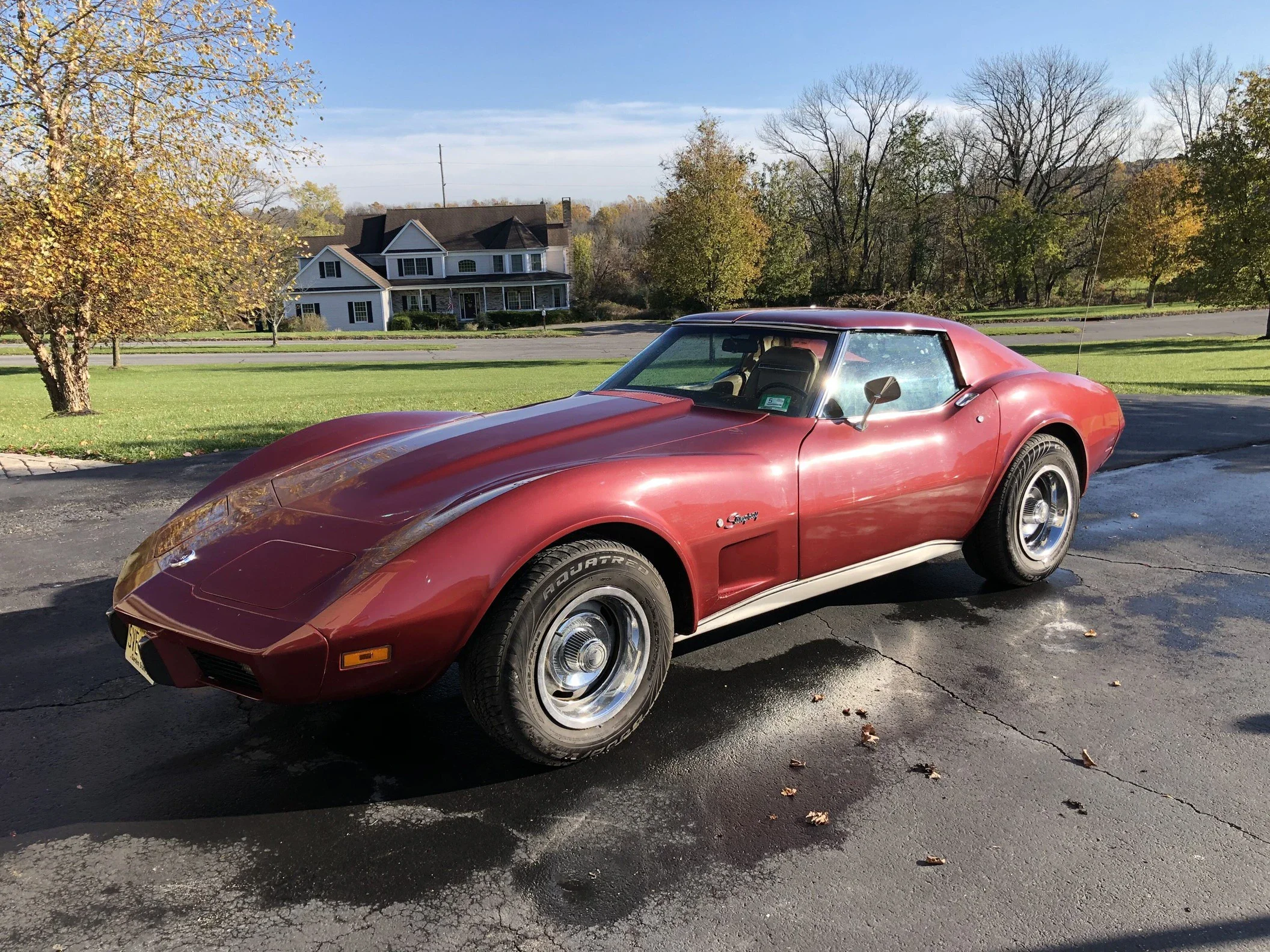 Chevrolet-Corvette-stingray-1975-Burgundy-Tan-5