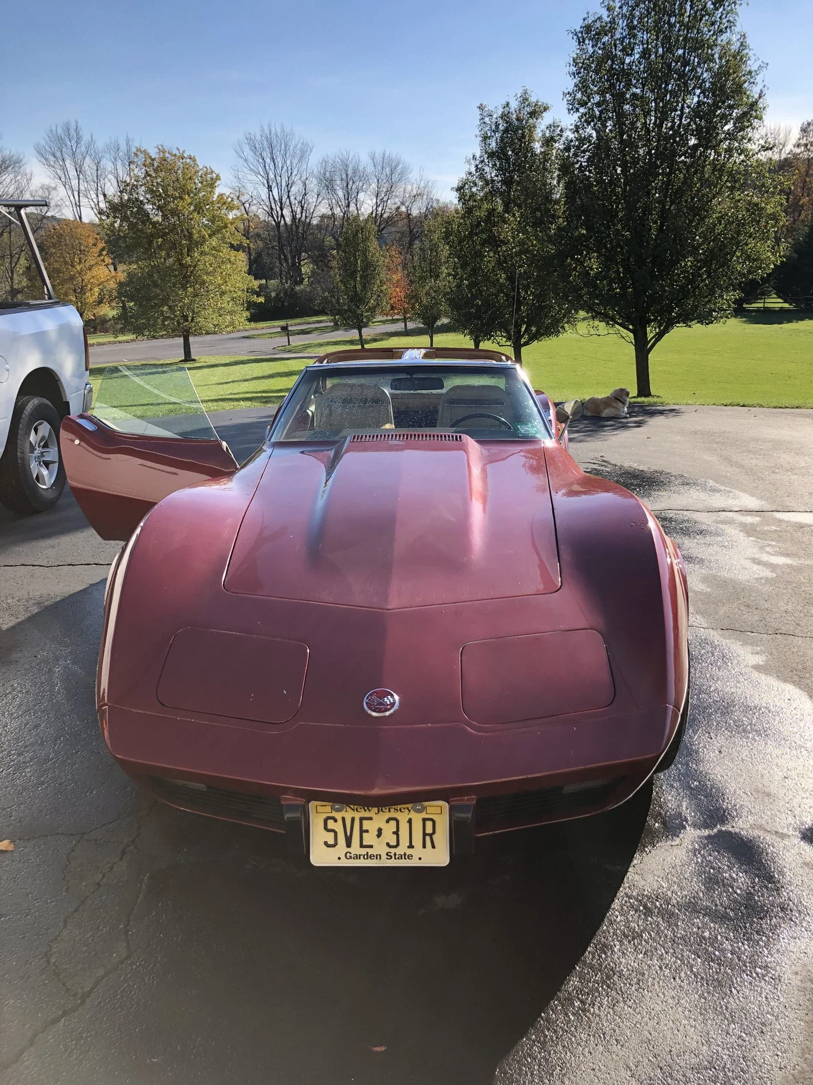 Chevrolet-Corvette-stingray-1975-Burgundy-Tan-8