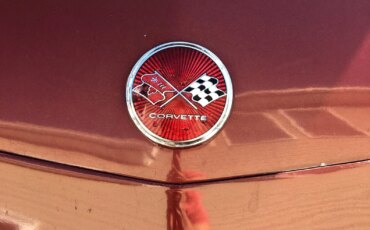 Chevrolet-Corvette-stingray-1975-Burgundy-Tan-9