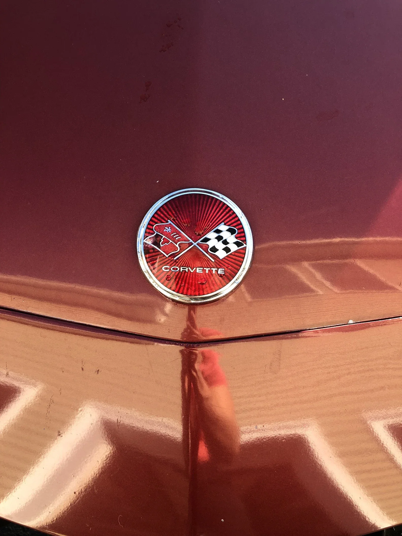 Chevrolet-Corvette-stingray-1975-Burgundy-Tan-9
