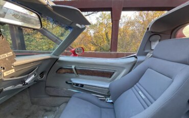 Chevrolet-Corvette-stingray-1975-Red-Silver-29