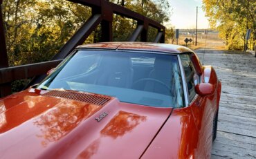Chevrolet-Corvette-stingray-1975-Red-Silver-37
