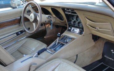 Chevrolet-Corvette-stingray-1976-Beige-Beige-1