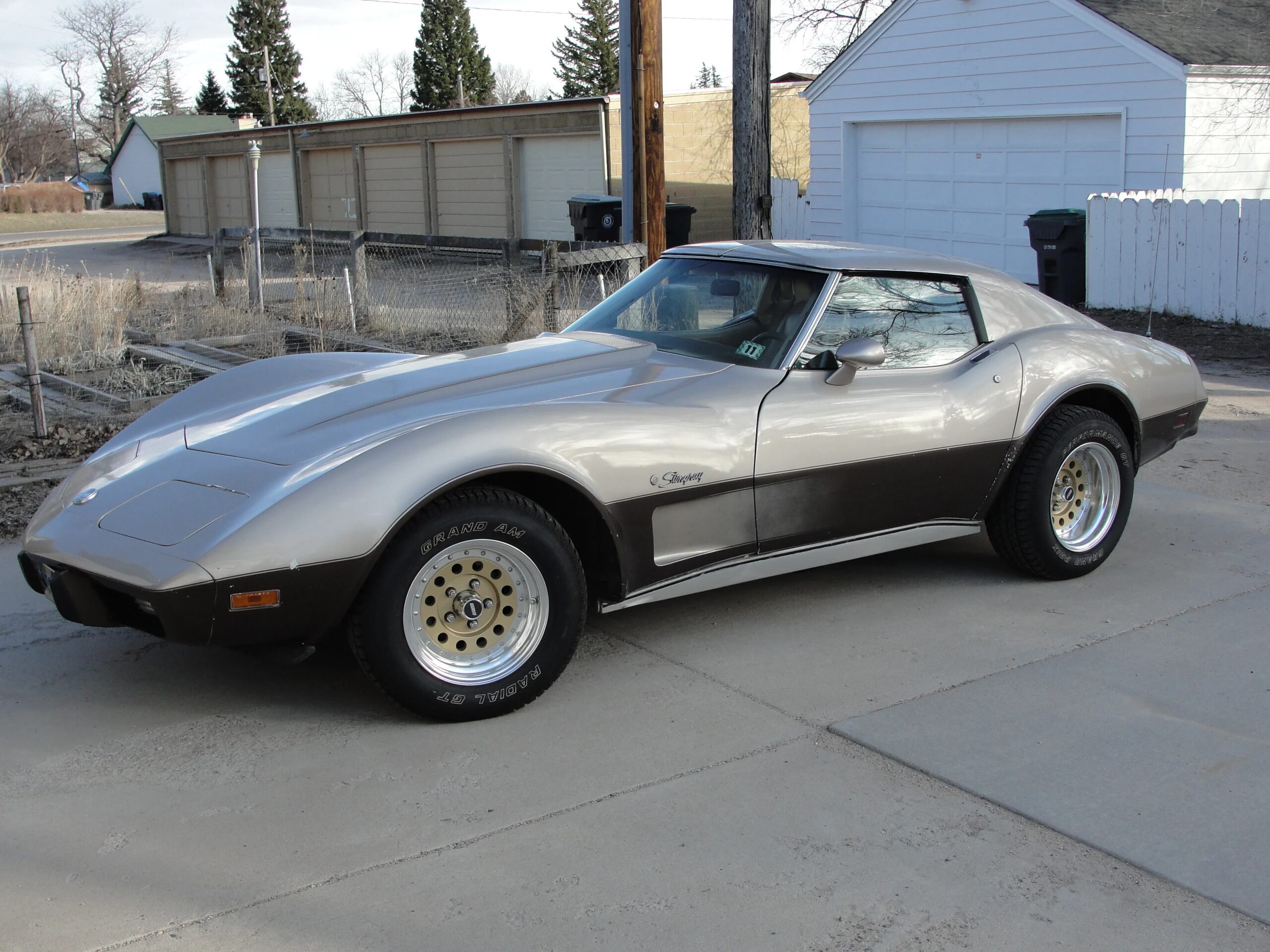 Chevrolet-Corvette-stingray-1976-Beige-Beige-3