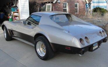Chevrolet-Corvette-stingray-1976-Beige-Beige