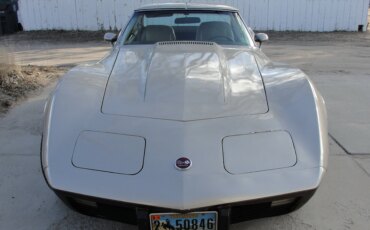 Chevrolet-Corvette-stingray-1976-Beige-Beige-4