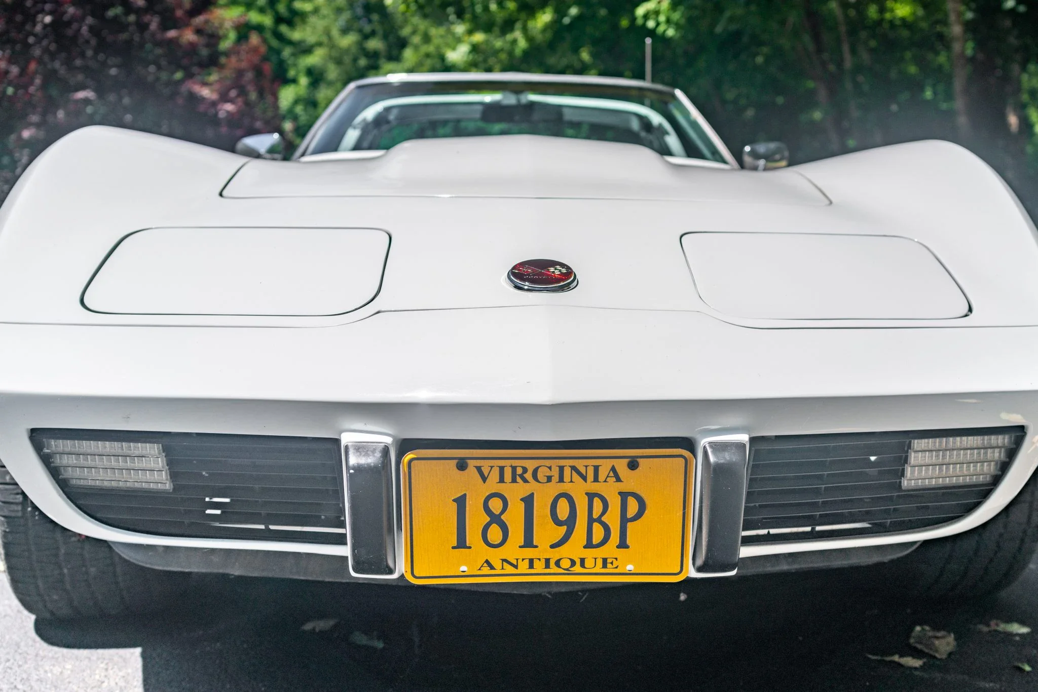 Chevrolet-Corvette-stingray-1976-White-Black-12
