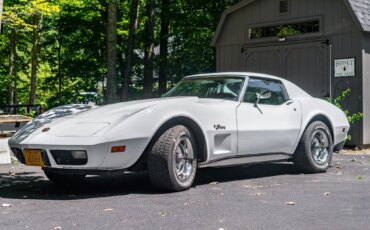 Chevrolet-Corvette-stingray-1976-White-Black-17