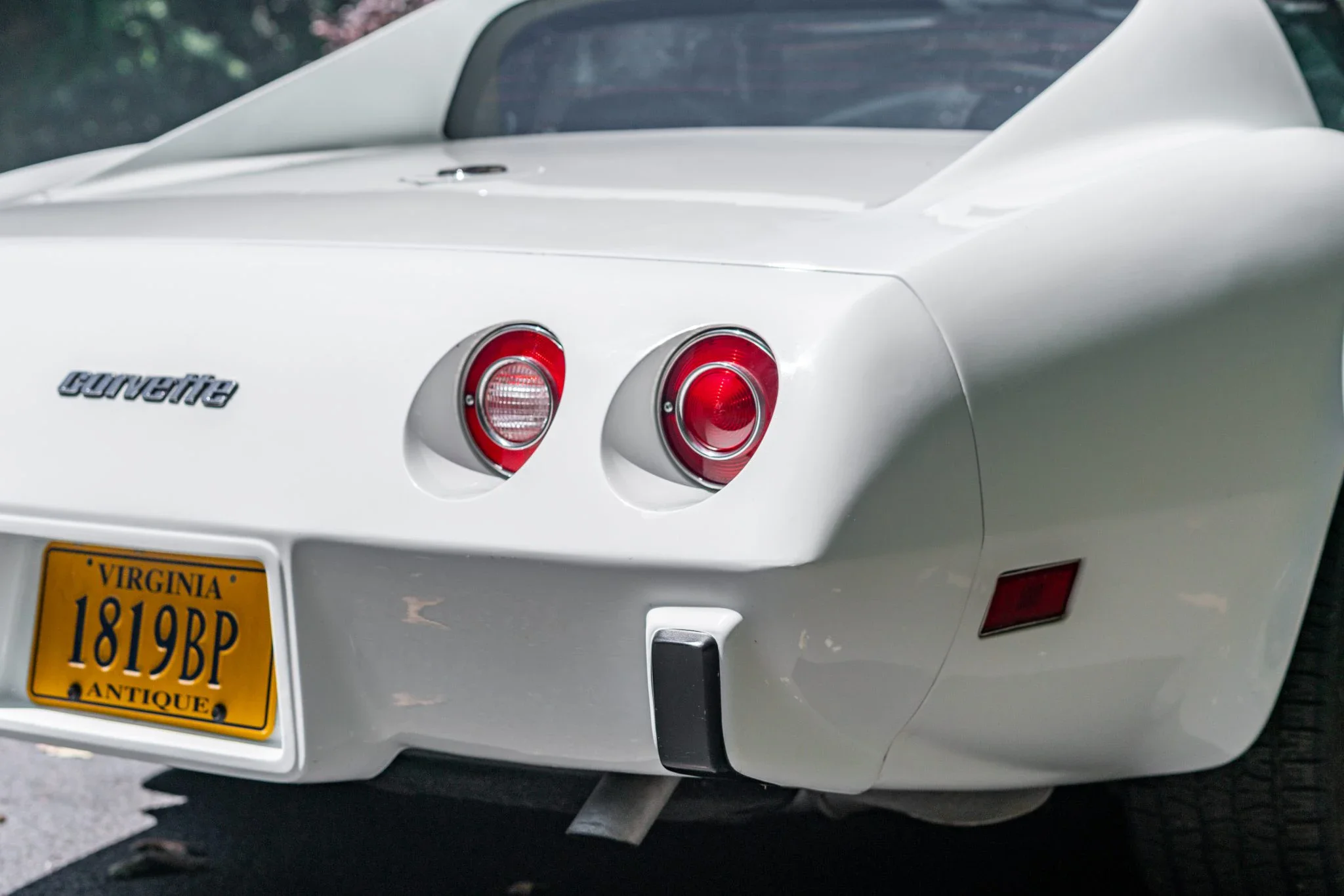 Chevrolet-Corvette-stingray-1976-White-Black-21