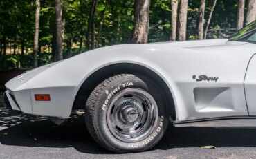 Chevrolet-Corvette-stingray-1976-White-Black-23