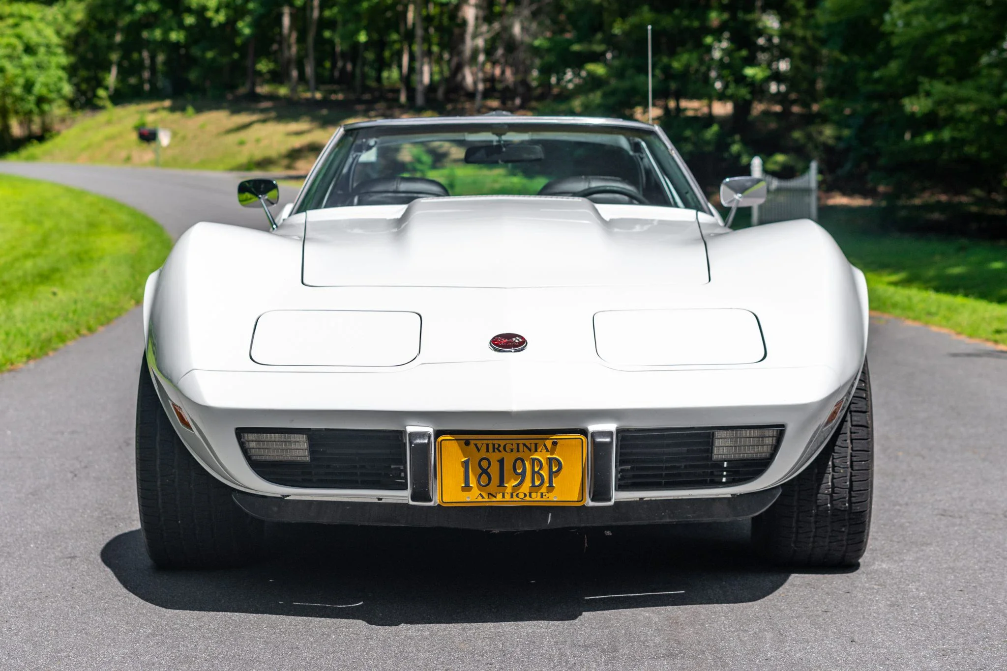 Chevrolet-Corvette-stingray-1976-White-Black-28