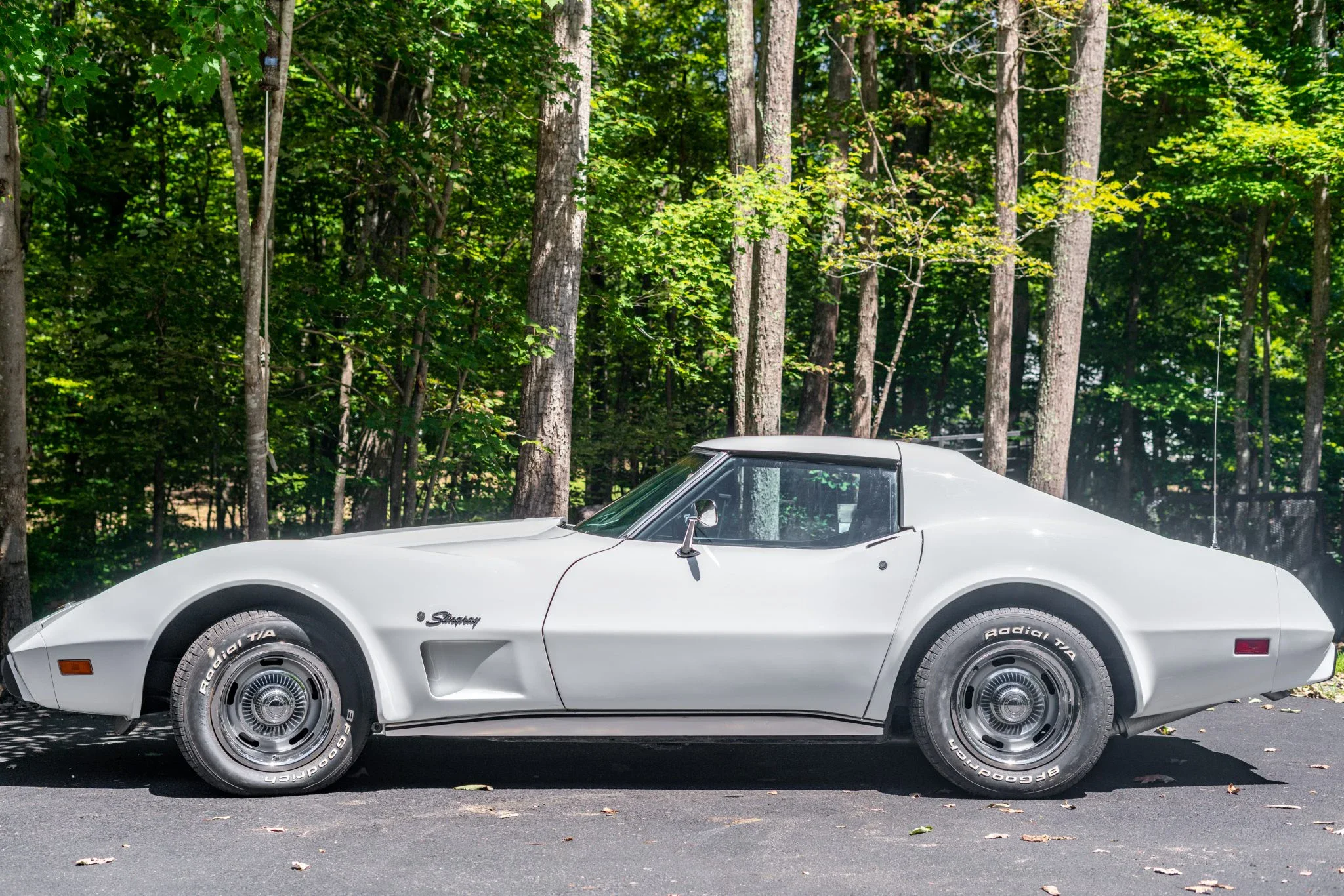 Chevrolet-Corvette-stingray-1976-White-Black-3