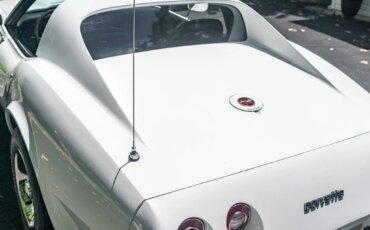 Chevrolet-Corvette-stingray-1976-White-Black-31