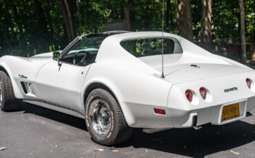 Chevrolet-Corvette-stingray-1976-White-Black-32