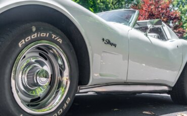 Chevrolet-Corvette-stingray-1976-White-Black-35