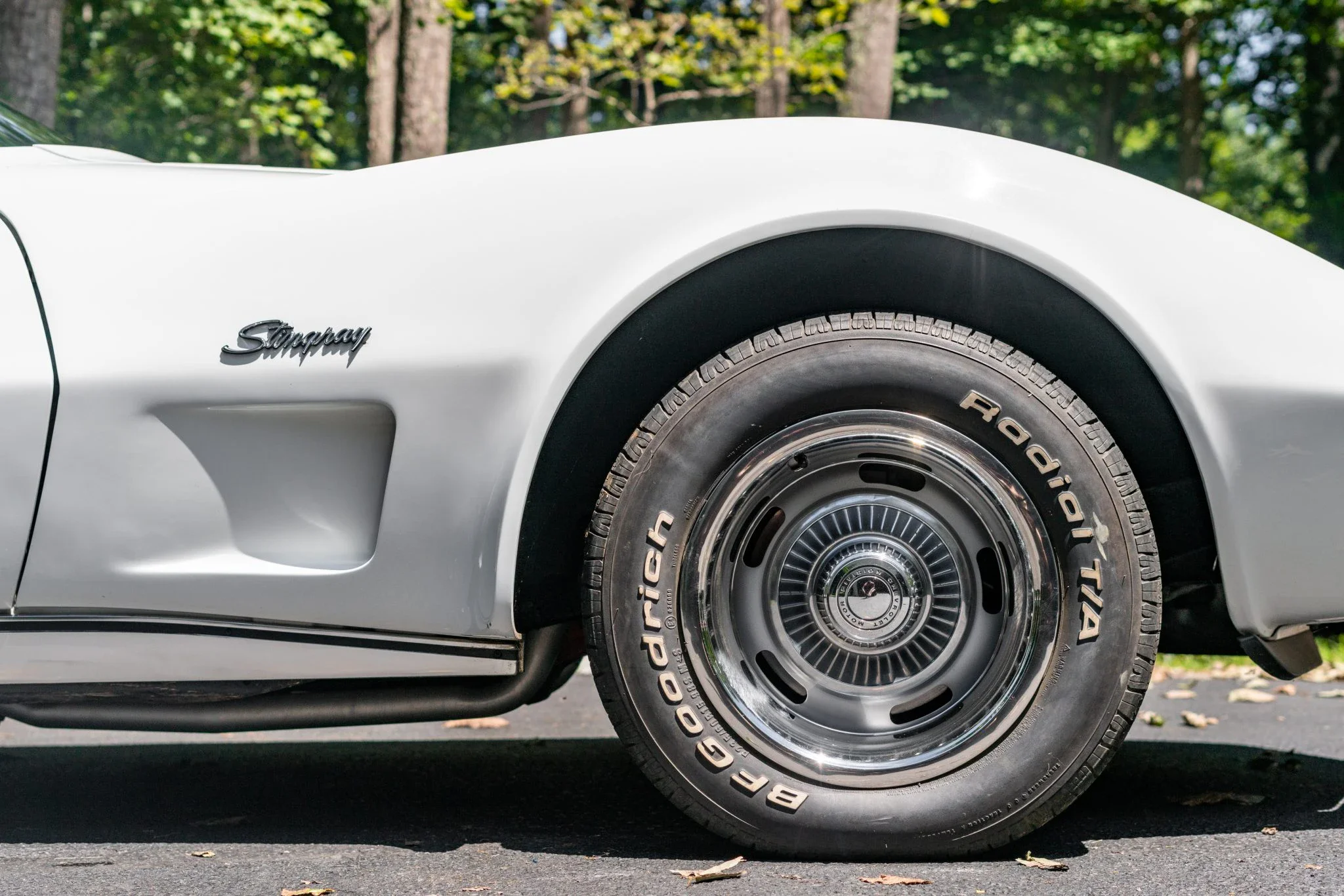 Chevrolet-Corvette-stingray-1976-White-Black-37