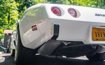 Chevrolet-Corvette-stingray-1976-White-Black-38