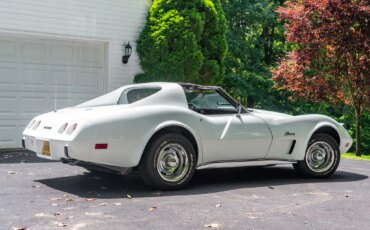 Chevrolet-Corvette-stingray-1976-White-Black-39