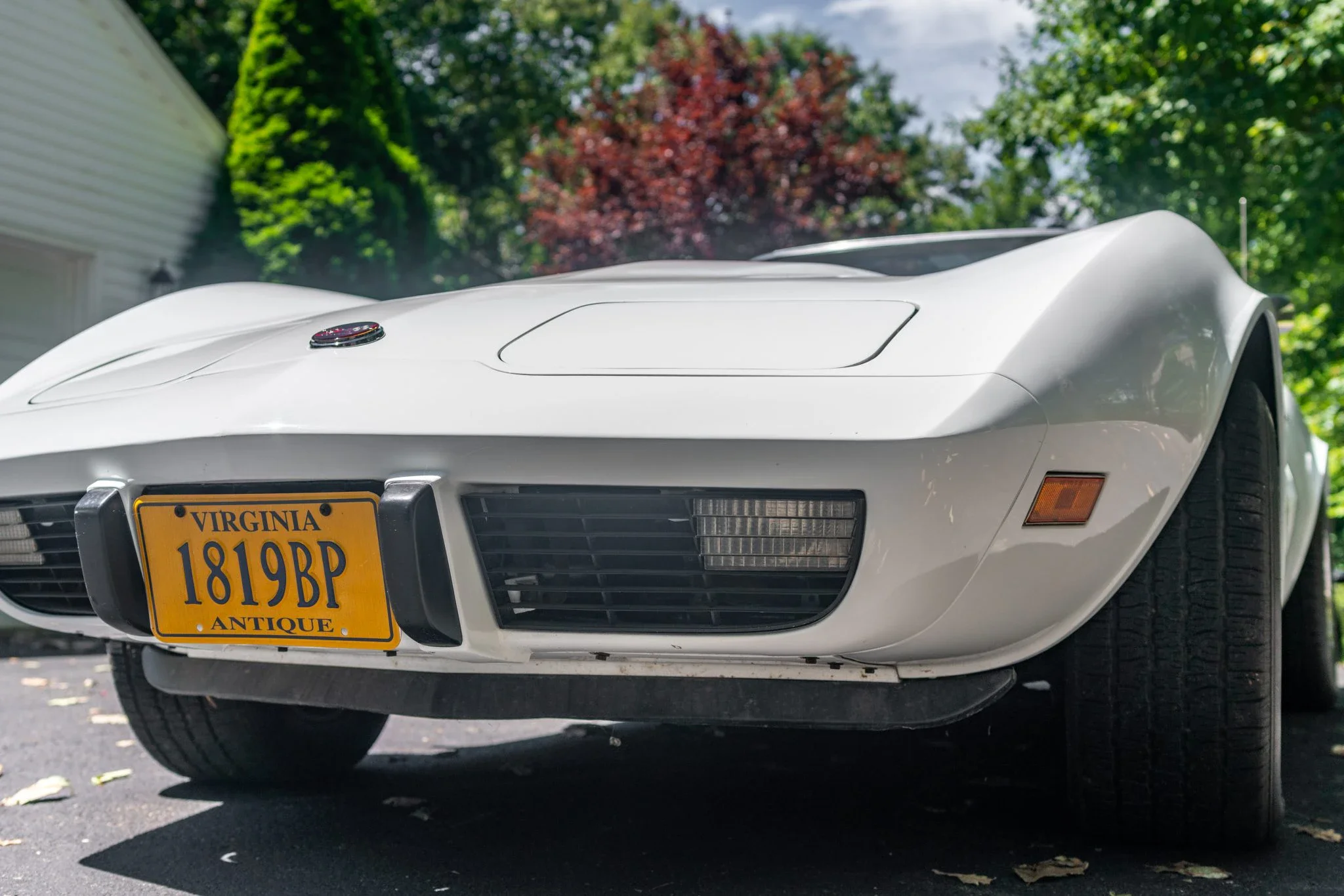 Chevrolet-Corvette-stingray-1976-White-Black-42