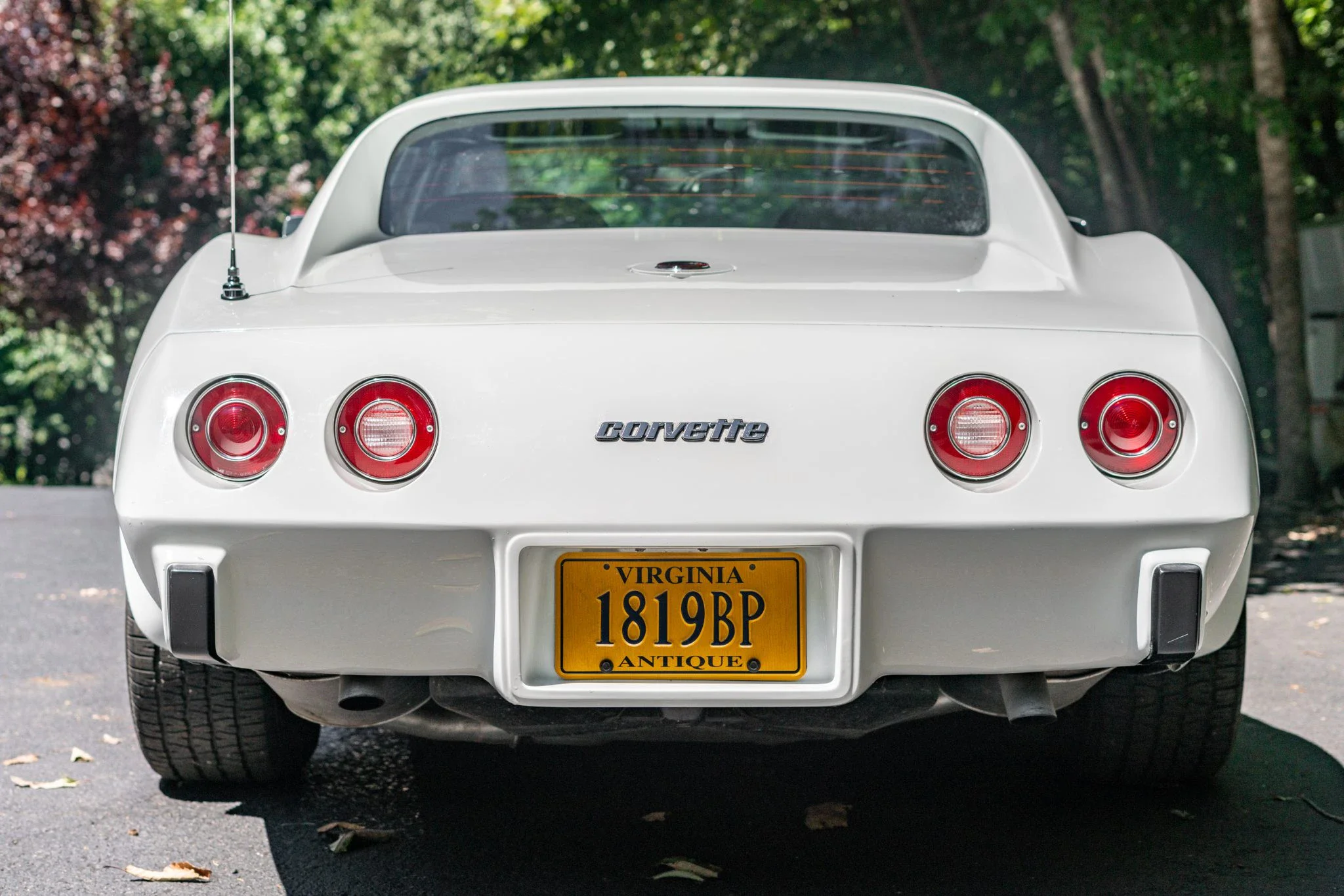 Chevrolet-Corvette-stingray-1976-White-Black-44