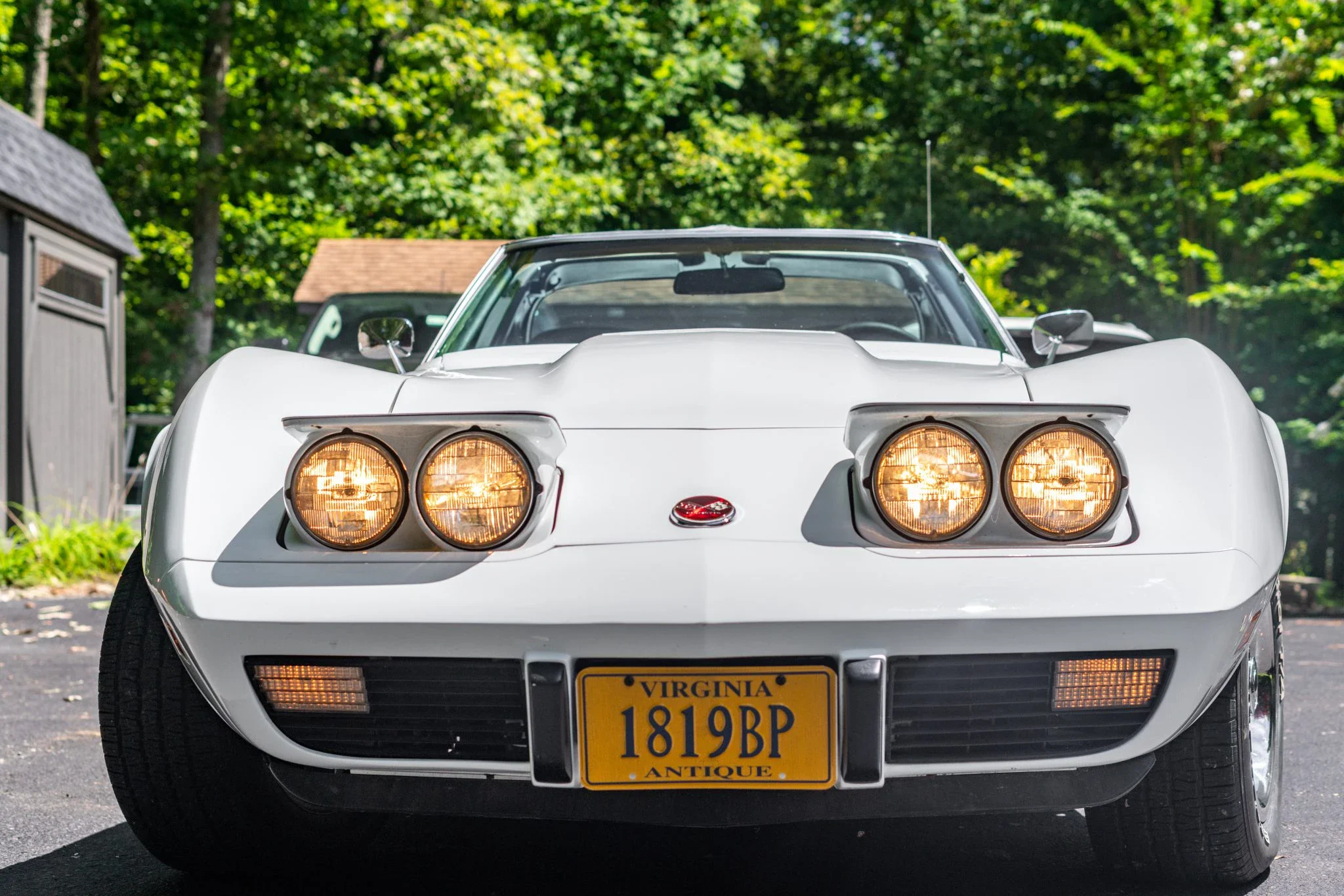 Chevrolet-Corvette-stingray-1976-White-Black-48