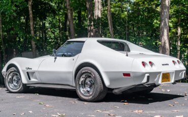 Chevrolet-Corvette-stingray-1976-White-Black-53