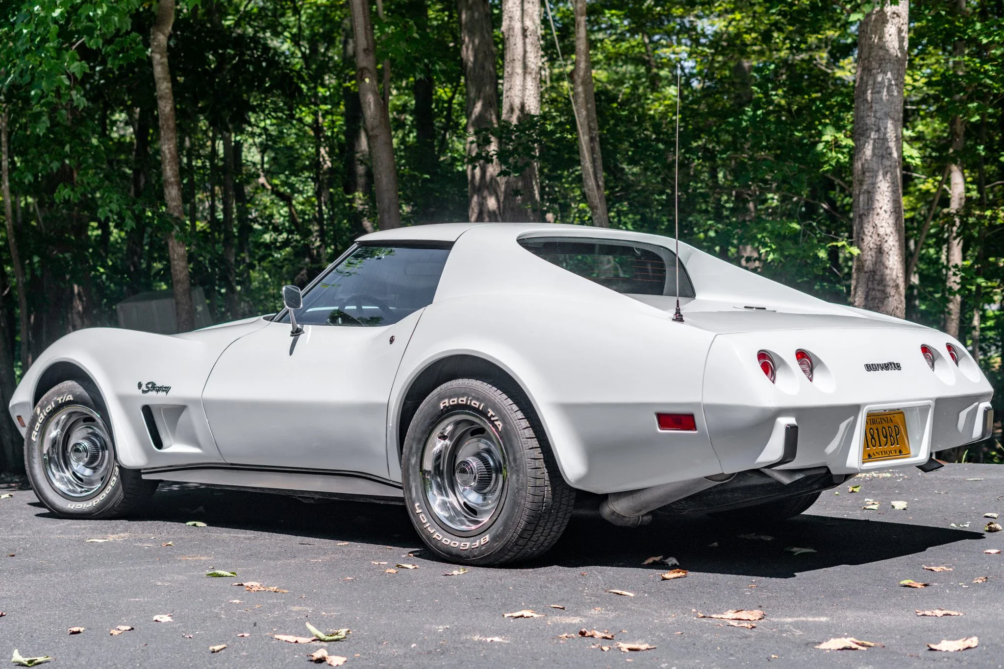 Chevrolet-Corvette-stingray-1976-White-Black-53