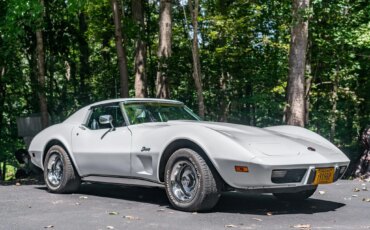 Chevrolet-Corvette-stingray-1976-White-Black-54