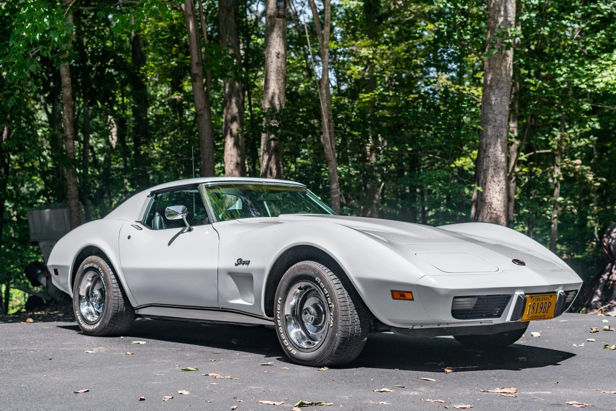 Chevrolet-Corvette-stingray-1976-White-Black-54