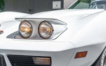 Chevrolet-Corvette-stingray-1976-White-Black-7