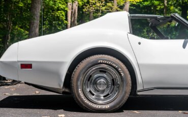 Chevrolet-Corvette-stingray-1976-White-Black-8