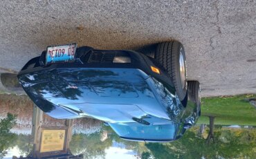 Chevrolet-Corvette-stingray-1979-Black-Black-9