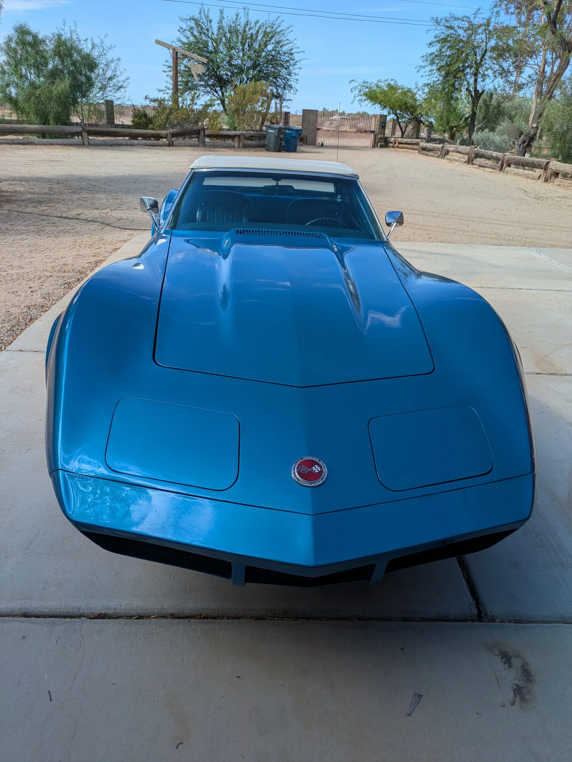 Chevrolet-Corvette-stingray-convertible-1973-Blue-Blue-10