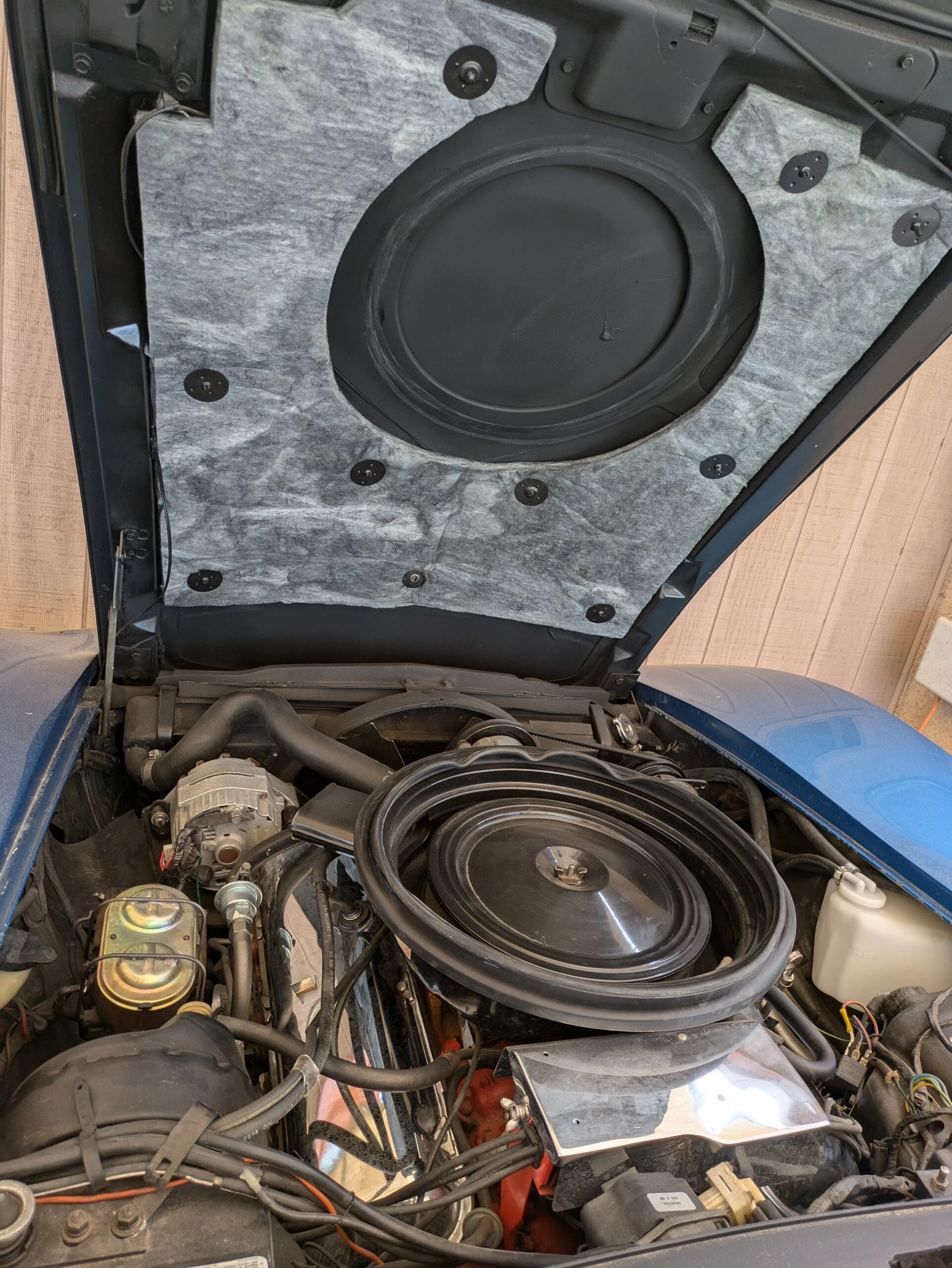 Chevrolet-Corvette-stingray-convertible-1973-Blue-Blue-7