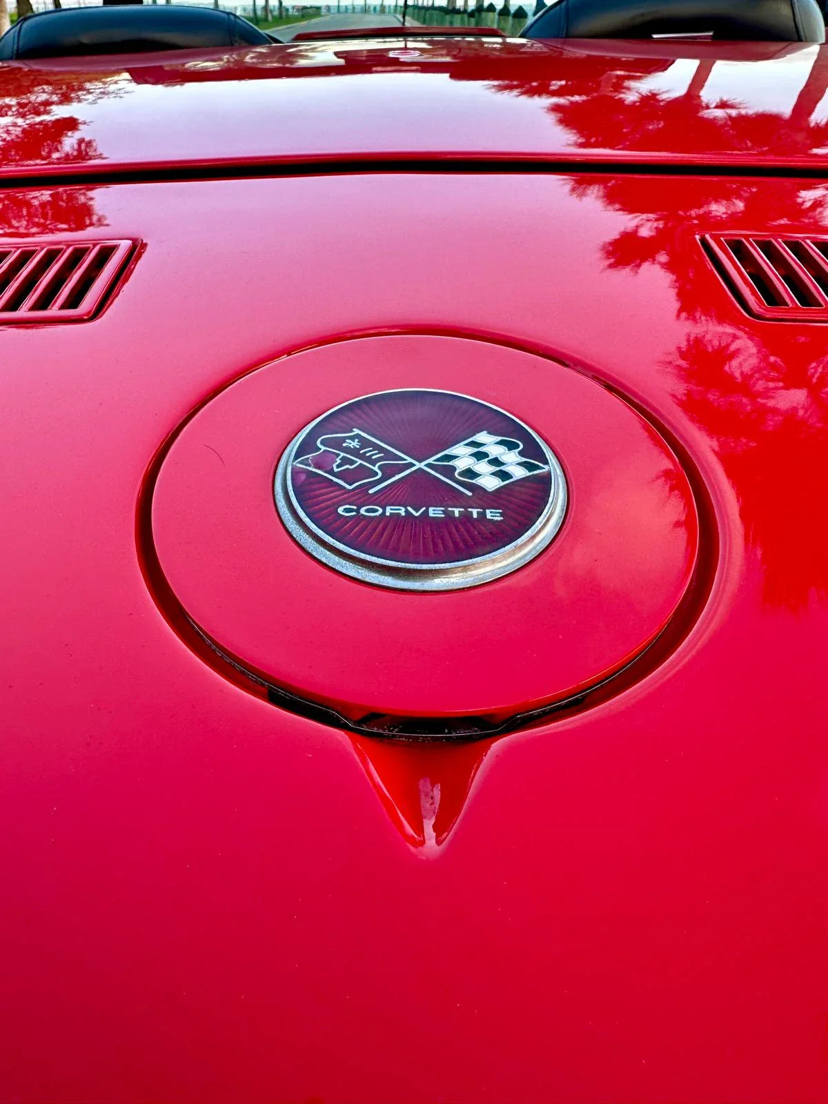 Chevrolet-Corvette-stingray-convertible-1975-Red-Black-14