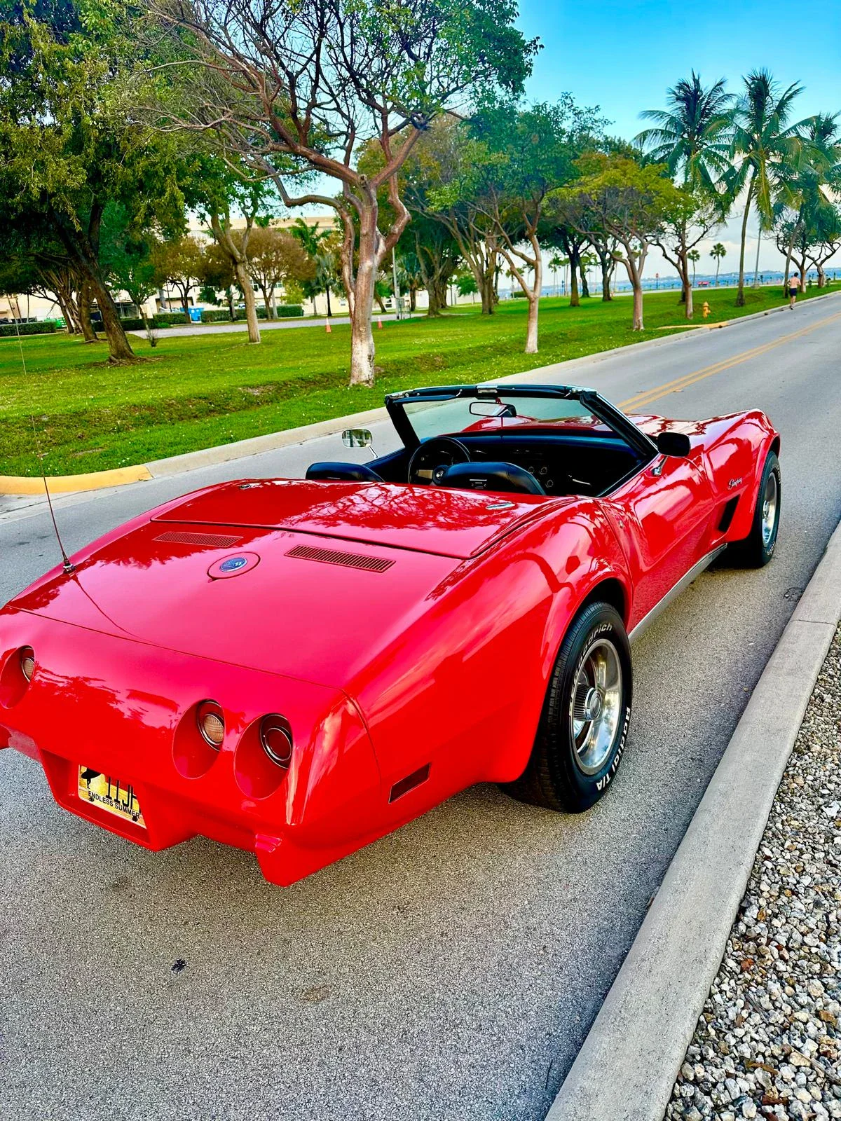 Chevrolet-Corvette-stingray-convertible-1975-Red-Black-8