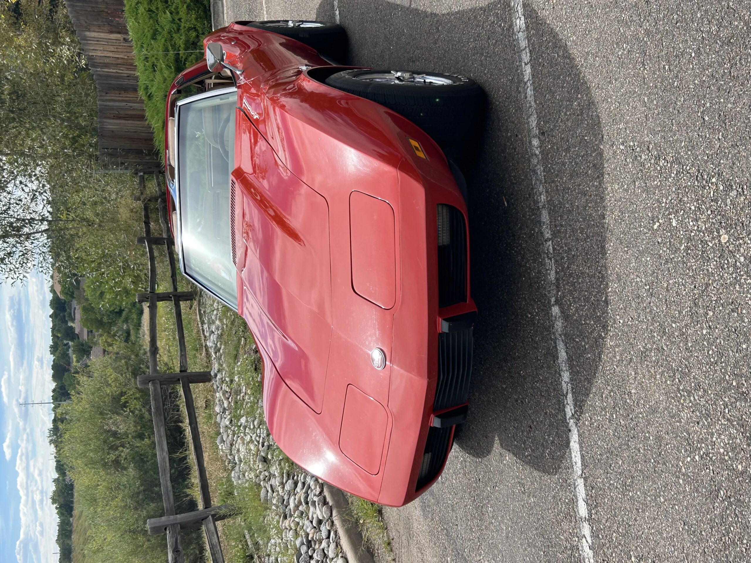 Chevrolet-Corvette-stingray-coupe-w-1lt-1975-Red-Tan-2
