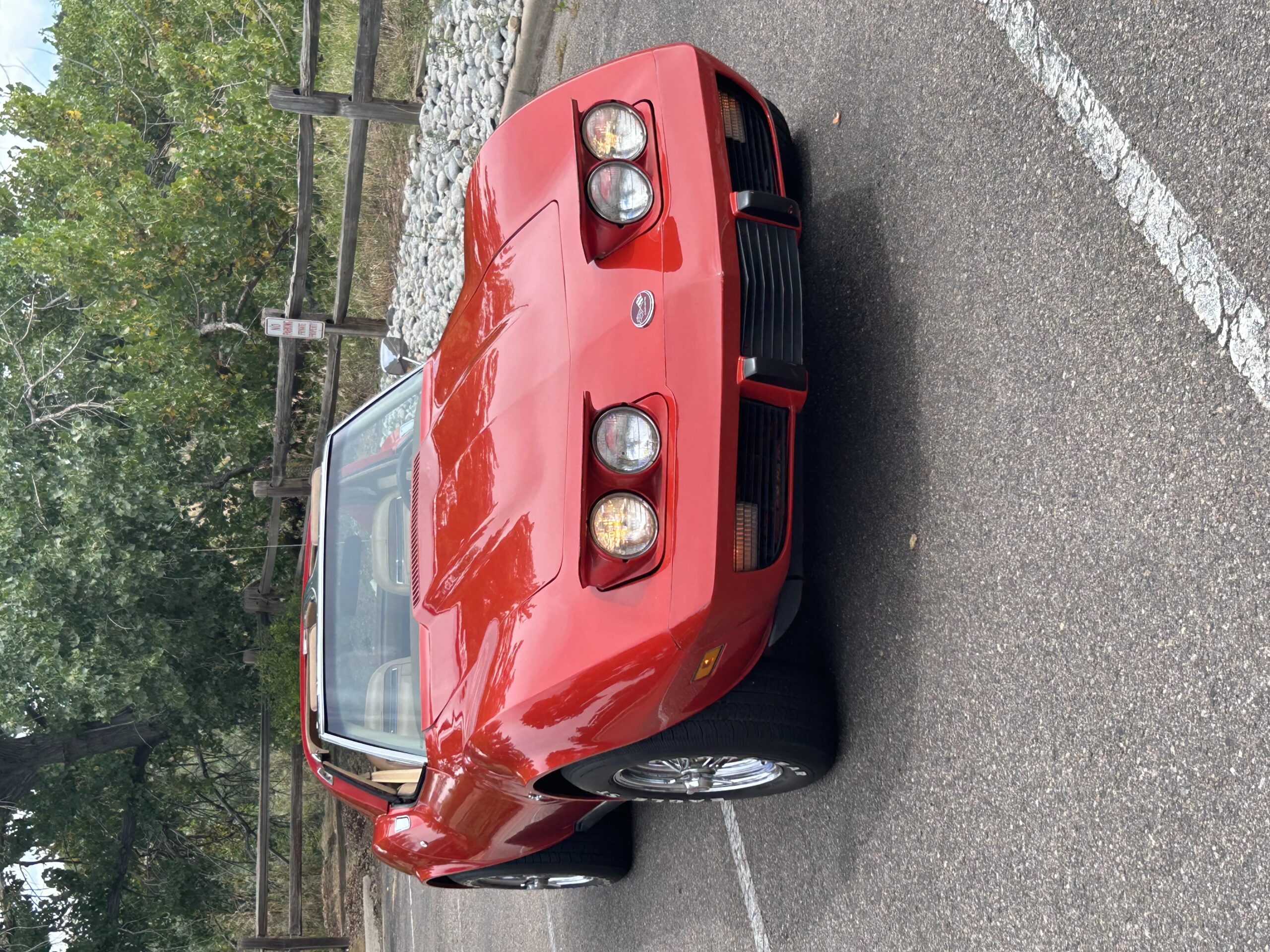 Chevrolet-Corvette-stingray-coupe-w-1lt-1975-Red-Tan-3