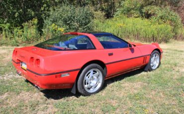 Chevrolet-Corvette-zr1-1990-Red-GrayBlack-10