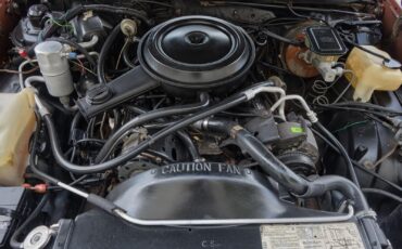 Chevrolet-El-Camino-1982-Pickup-11