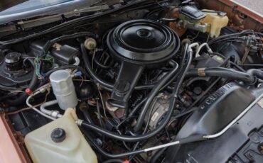 Chevrolet-El-Camino-1982-Pickup-12