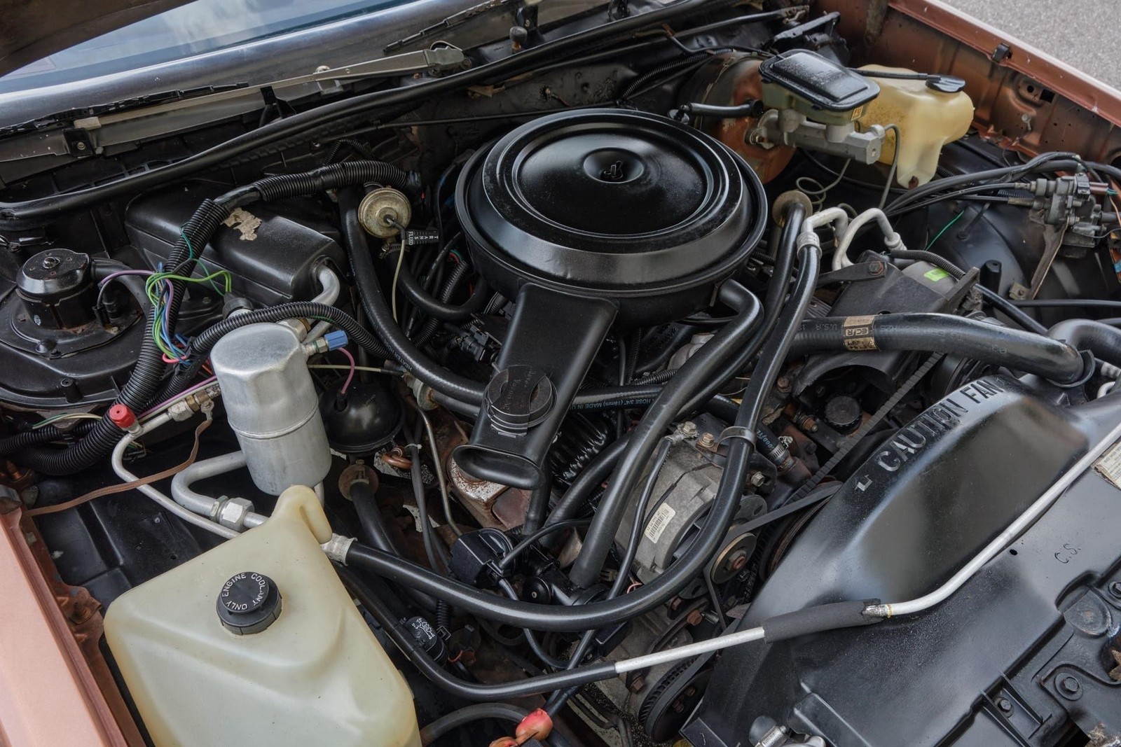 Chevrolet-El-Camino-1982-Pickup-12