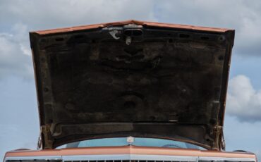 Chevrolet-El-Camino-1982-Pickup-28