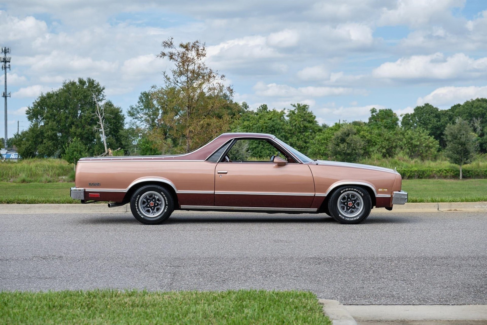 Chevrolet-El-Camino-1982-Pickup-5