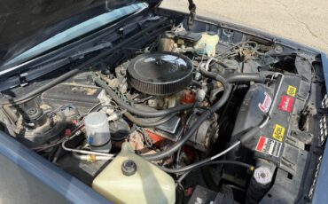 Chevrolet-El-Camino-1983-Standard-Cab-Pickup-22